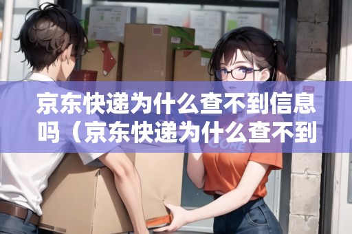 京东快递查不到物流信息？服务器租赁或许是关键原因