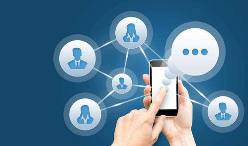 网络品牌推广与网络信息咨询服务的协同之道